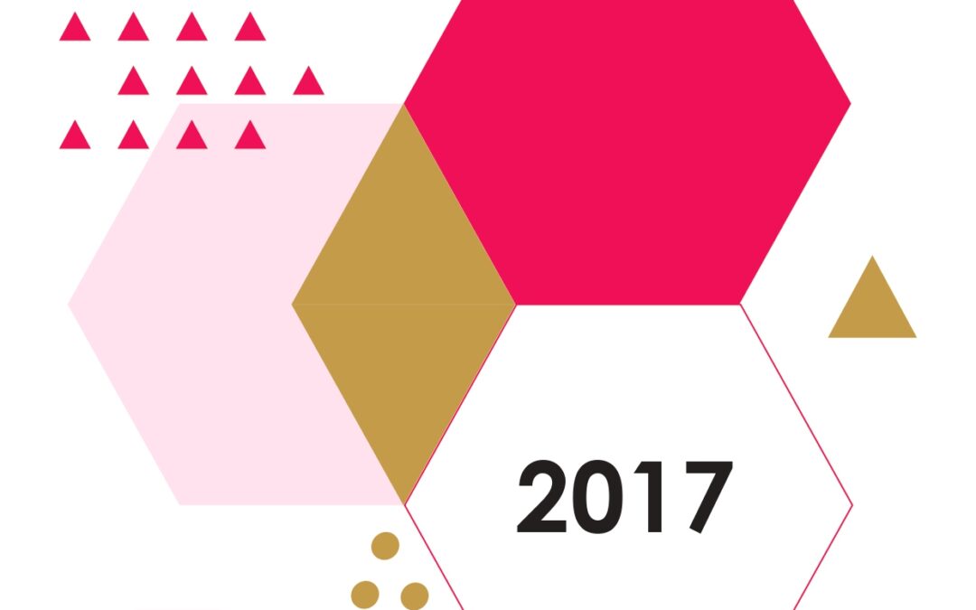 Rapport d’activité 2017